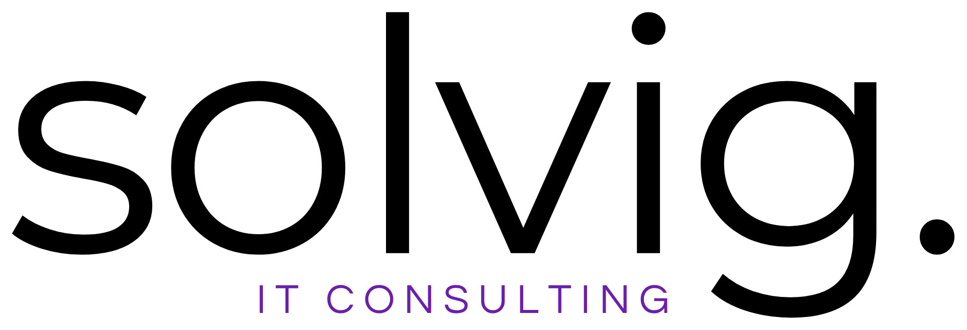 solvig. IT Consulting